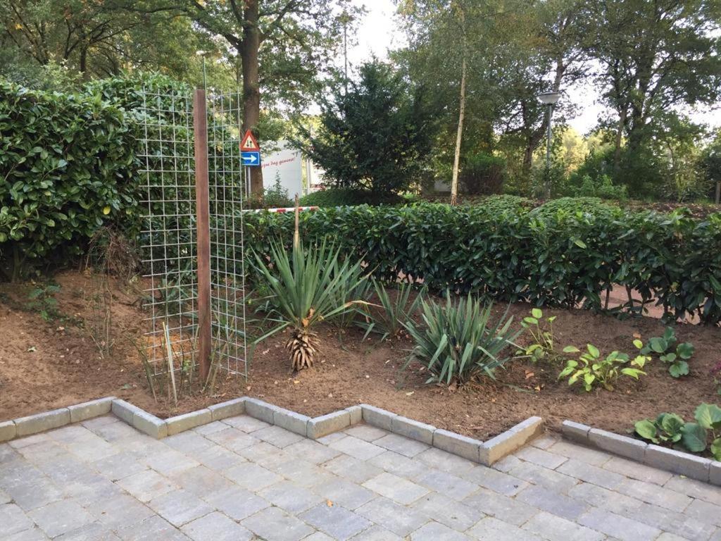 Rumah kita, bungalow met 2 slaapkamers in het mooie Drenthe Erm Buitenkant foto